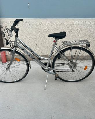 Bicicletta citybike