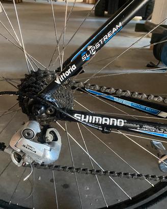Bici corsa donna
