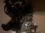 Immagine 3