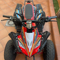 Quad ncx 100% elettrico