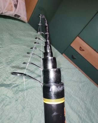 2 canne spettacolari