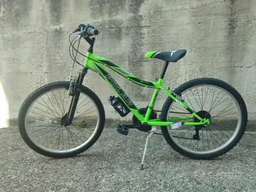 bicicletta 