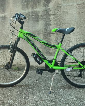bicicletta 