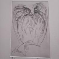 Isa Pizzoni acquaforte "gufo". anno 1977 