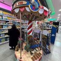 Giostra carosello cavalli