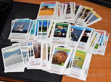 Cards COOP della serie WWF Salva il tuo pianeta