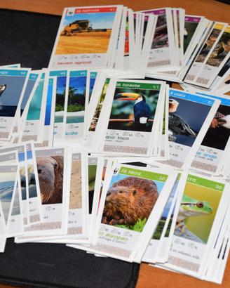 Cards COOP della serie WWF Salva il tuo pianeta