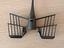 Immagine 5