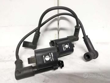 Bobine Ducati Monster 696 796