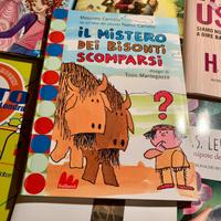 IL MISTERO DEI BISONTI SCOMPARSI (Gallucci)