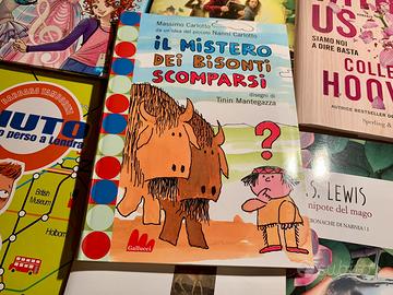 IL MISTERO DEI BISONTI SCOMPARSI (Gallucci)