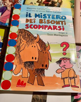 IL MISTERO DEI BISONTI SCOMPARSI (Gallucci)