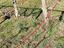 Immagine 24