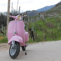Vespa 50 r