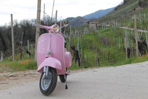 Vespa 50 r