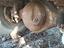 Immagine 3