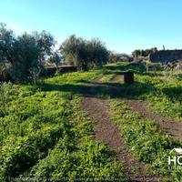 S. maria di licodia - terreno agricolo id:psml052t
