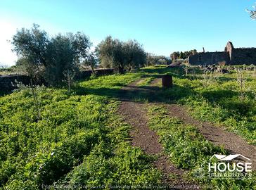 S. maria di licodia - terreno agricolo id:psml052t