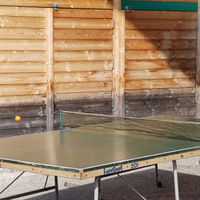 Tavolo ping pong Lupo 201 - 152 cm. x 274 cm.
