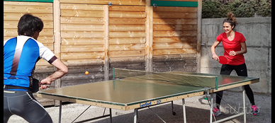 Tavolo ping pong Lupo 201 - 152 cm. x 274 cm.