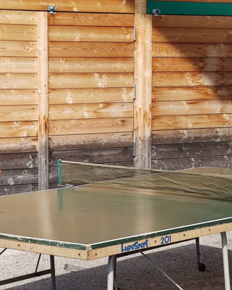 Tavolo ping pong Lupo 201 - 152 cm. x 274 cm.