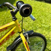 Bicicletta bambino 6 anni