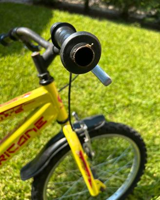 Bicicletta bambino 6 anni