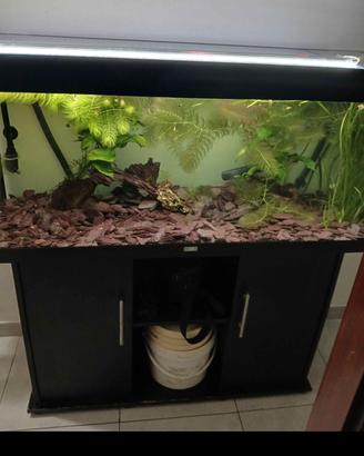 Acquario 250 Litri Completo + Mobile + Filtro