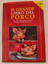 Il grande libro del porco di Sandro Bellei