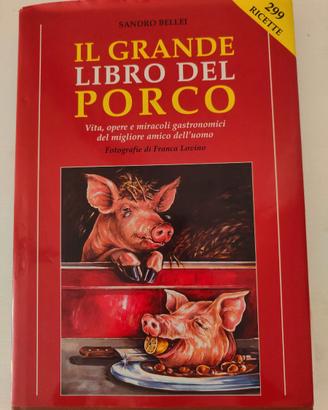 Il grande libro del porco di Sandro Bellei