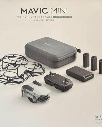 Batteria e accessori dji mini e mini 2