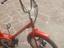 Immagine 2