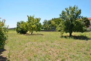 S.canzian d'isonzo: terreno edificabile