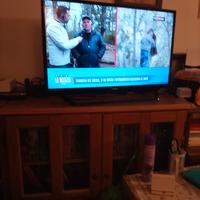 TV led 33 POLLICI