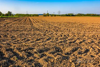 Terreno edificabile a Terre del Reno-Dosso