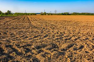 Terreno edificabile a Terre del Reno-Dosso