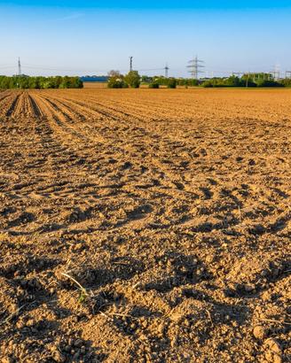 Terreno edificabile a Terre del Reno-Dosso