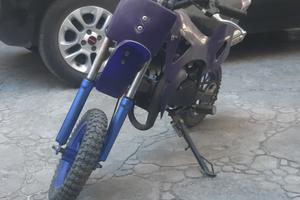 Minimoto cinese