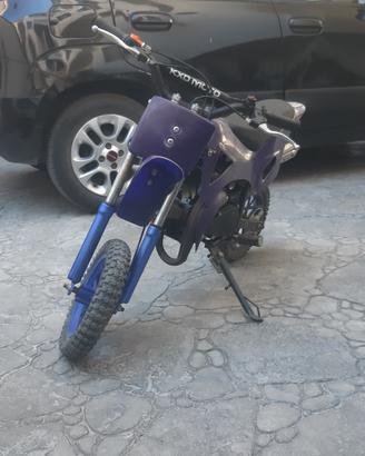 Minimoto cinese