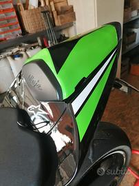 monoposto Kawasaki zx10r 2008-2010 