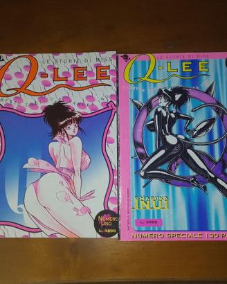 Manga Hentai, stile Umoristico/Erotico