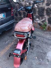 Bici a pedalata assistita