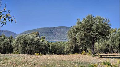 Terreno panoramico- Maristella