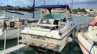 BARCA Acquaviva 25 SeaBorn - Volvo Penta 200CV DP