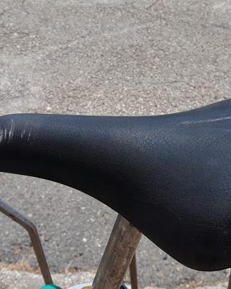 bicicletta  usata 