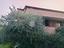 Immagine 25