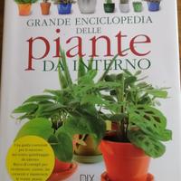 Grande enciclopedia delle piante da interno