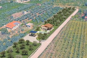 CASA INDIPENDENTE A SAN CESAREO