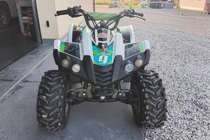 Quad 50 Dinli