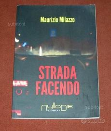 Strada facendo - Maurizio Milazzo - 2013